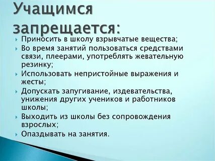 Что запрещено носить в школу
