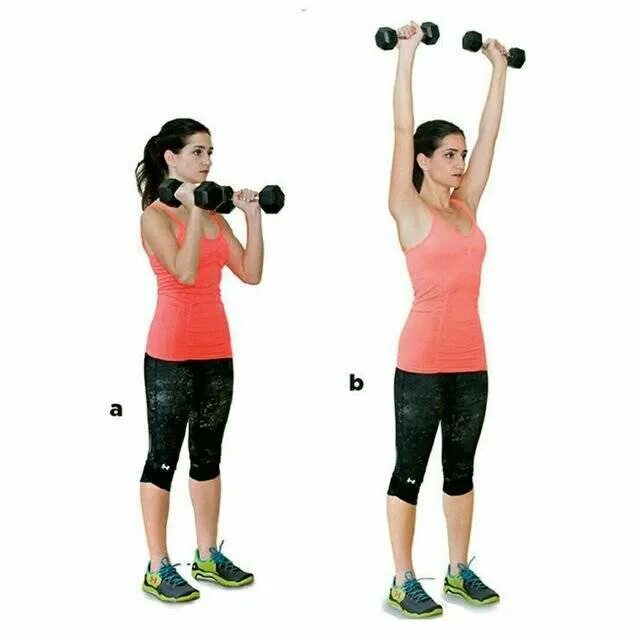 Комплекс упражнений лфк при сколиозе позвоночника у детей. Тибетская гимнастика 5 жемчужин око возрождения. Тибетская гимнастика око возрождения 5 упражнений. Техника выполнения упражнений на перекладине. Комплекс круговой тренировки.