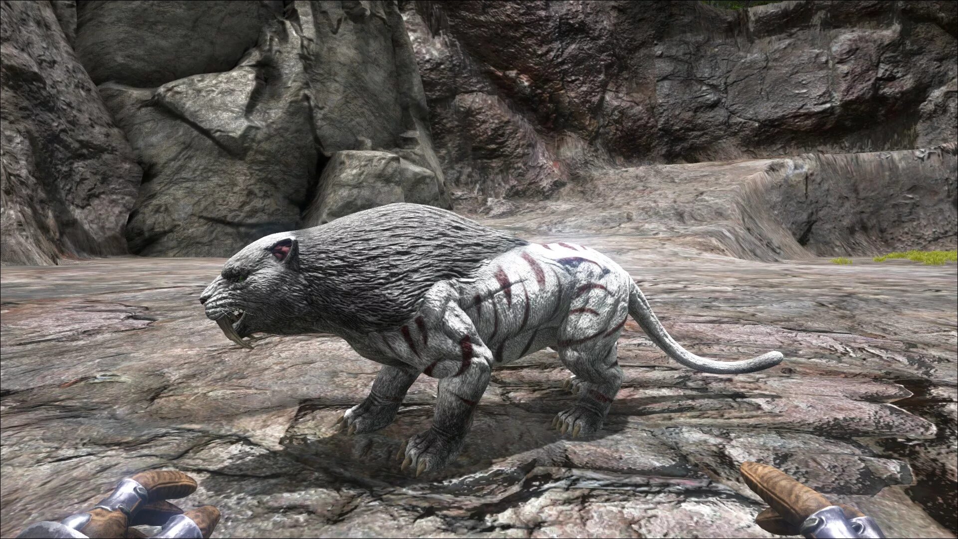 Сумчатый лев арк. Thylacoleo арк. Арк сумчатый. Арк сумчатый. Сумчатый лев арк.