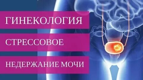 Эффективное лекарство от недержания мочи