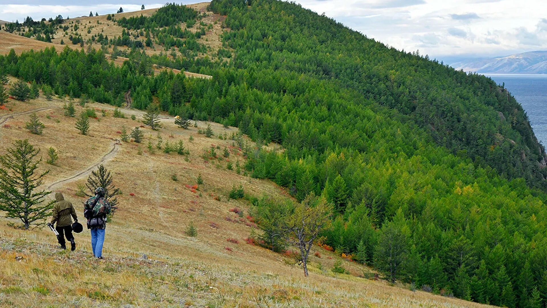 Прибайкальский национальный парк территория. Национальный парк прибайкалья. Символ прибайкальского национального парка. Национальный парк прибайкалья. Прибайкальский национальный парк территория.