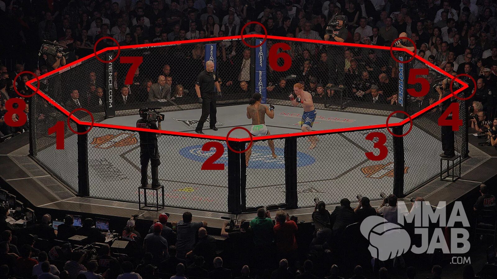 Ринг манеж. Манеж конный спорт. Ринг боксерский олимпийский. Напольный октагон мма. Ринг манеж.