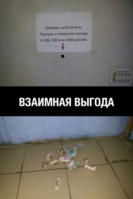 Проверить шутку