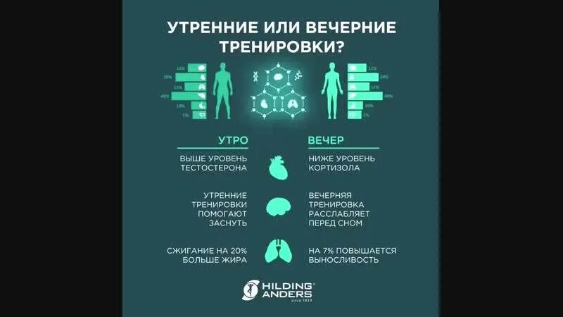 Когда лучше заниматься спортом утром. Тренировки утром и вечером. Лучшее время для тренировок. В какое время лучше тренироваться. Когда лучше тренироваться утром или вечером.