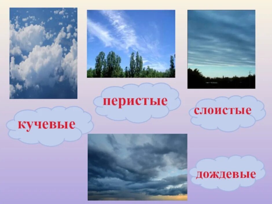 Слоистые облака виды. Слоистые перистые и дождевые Кучевые облака. Типы облаков перистые Кучевые Слоистые. Перистые,Слоистые, кучево дождевые, Кучевые облака. Перистые Слоистые кучерявые облака.