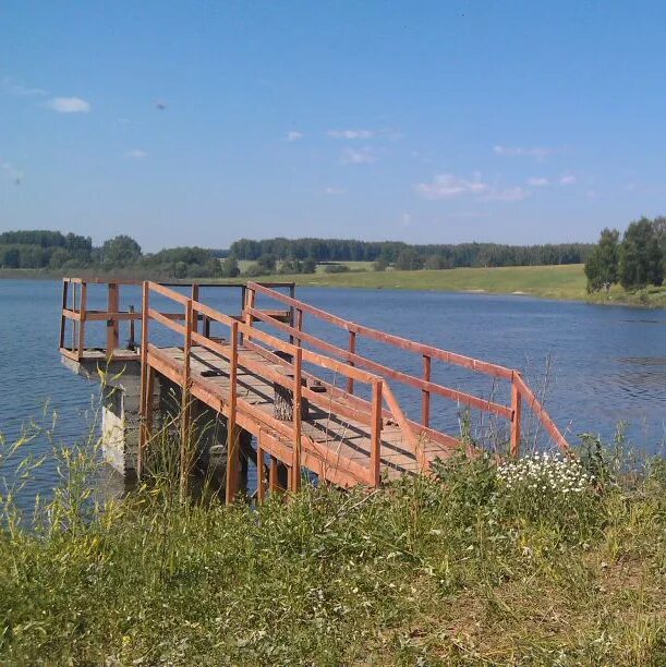 Балта мошковский район. Озеро карповое Казенная Заимка. Романово платное озеро. Платное озеро в Ярымово Павлово. Платное озеро в Кожевникова.