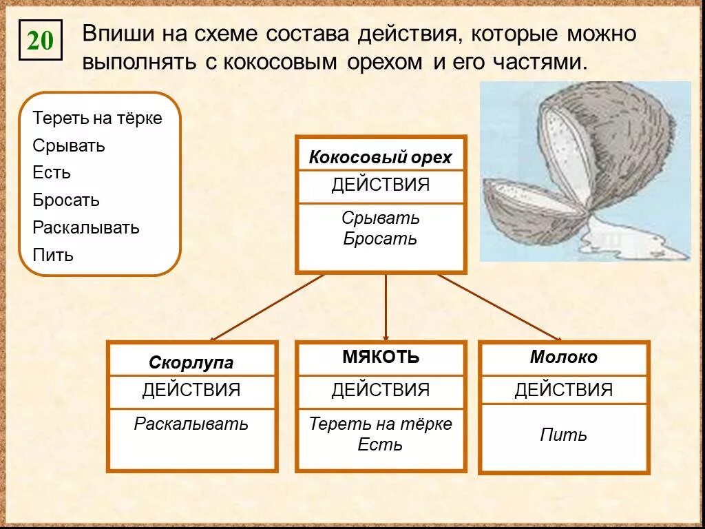 Задачи на схему состава. Часть действия схема. Впиши на схеме состава действия школы. Кожура кокоса схема.