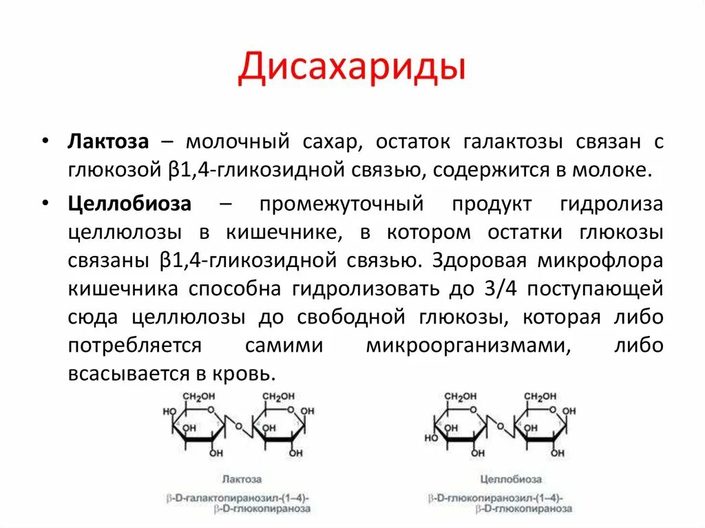 Галактоза относится к моносахаридам. Галактоза относится к моносахаридам. Галактоза относится к моносахаридам. Моносахариды (гексозы), классификация, представители. Мальтоза и лактоза структура.