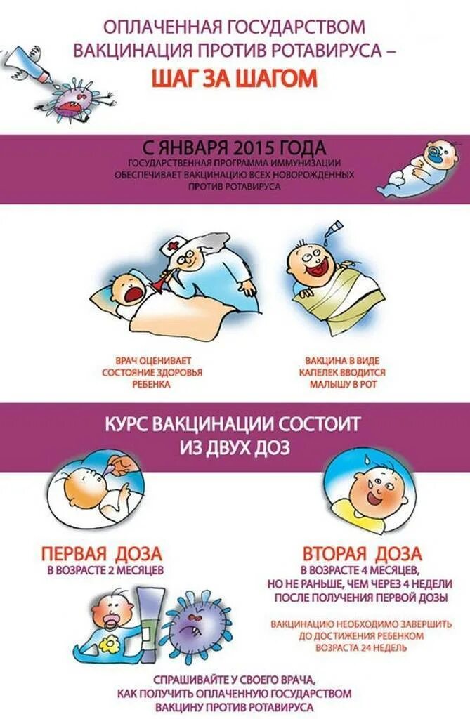 Делают ли прививку от ротавируса. Прививка от ротавируса детям схема вакцинации. прививка от ротовирусных инфекций 6 лет. прививки от ротовирусных инфекций детям до года. схема прививки от ротавируса детям.