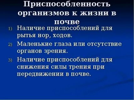 Современные подростки мало приспособлены к самостоятельной жизни