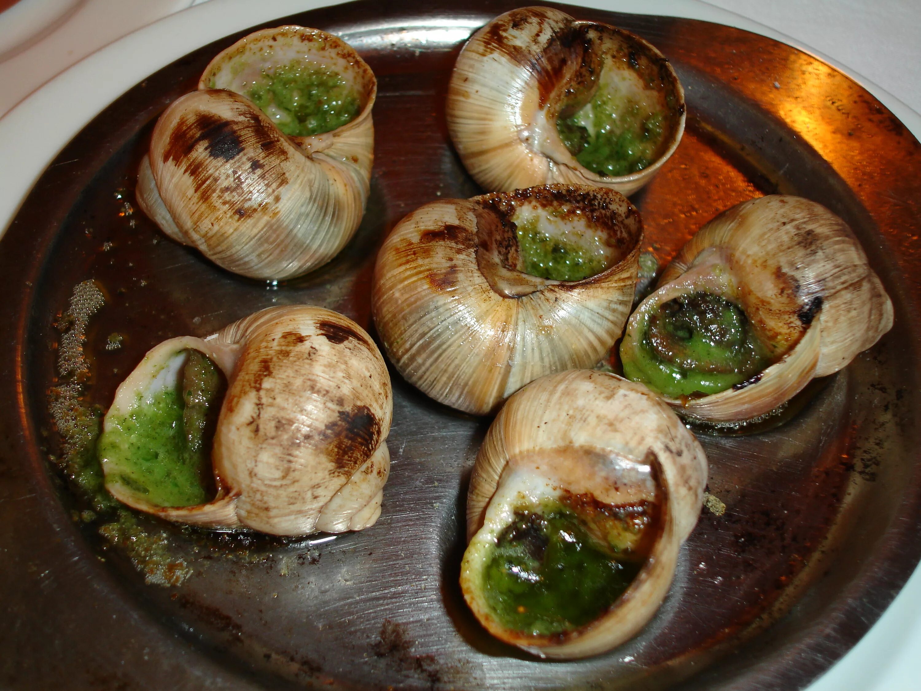 Улитка Виноградная escargots. Виноградная улитка ахатина. Эскарго Франция. Виноградная улитка ахатин. Улитки готовые