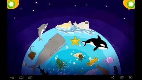 Морские животные развивающее видео для детей