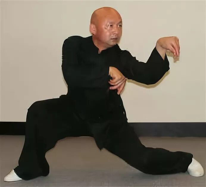 Praying Mantis Kung Fu. Богомол Мантис кунг фу. Танланцюань (стиль богомола) 螳螂拳. Боевое искусство стиль богомола. Богомолов упражнение