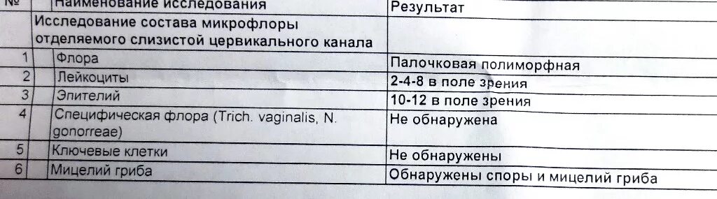 Сдать анализы на молочницу. Анализ мазка при молочнице. Молочница в анализе мазка. Анализ наикандидоз. Анализ на кандидоз.