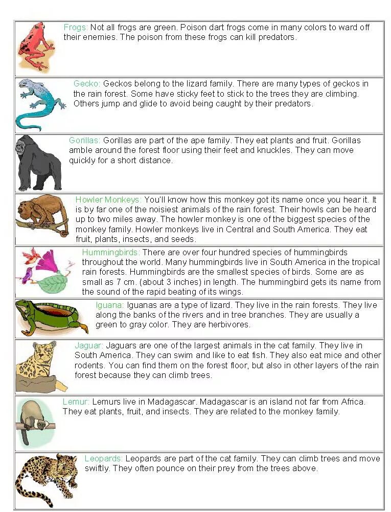 The monkeys always climb trees. Monkey are climbing trees перевод. short facts about animals. are the monkeys climbing. the monkey not climb the tree.