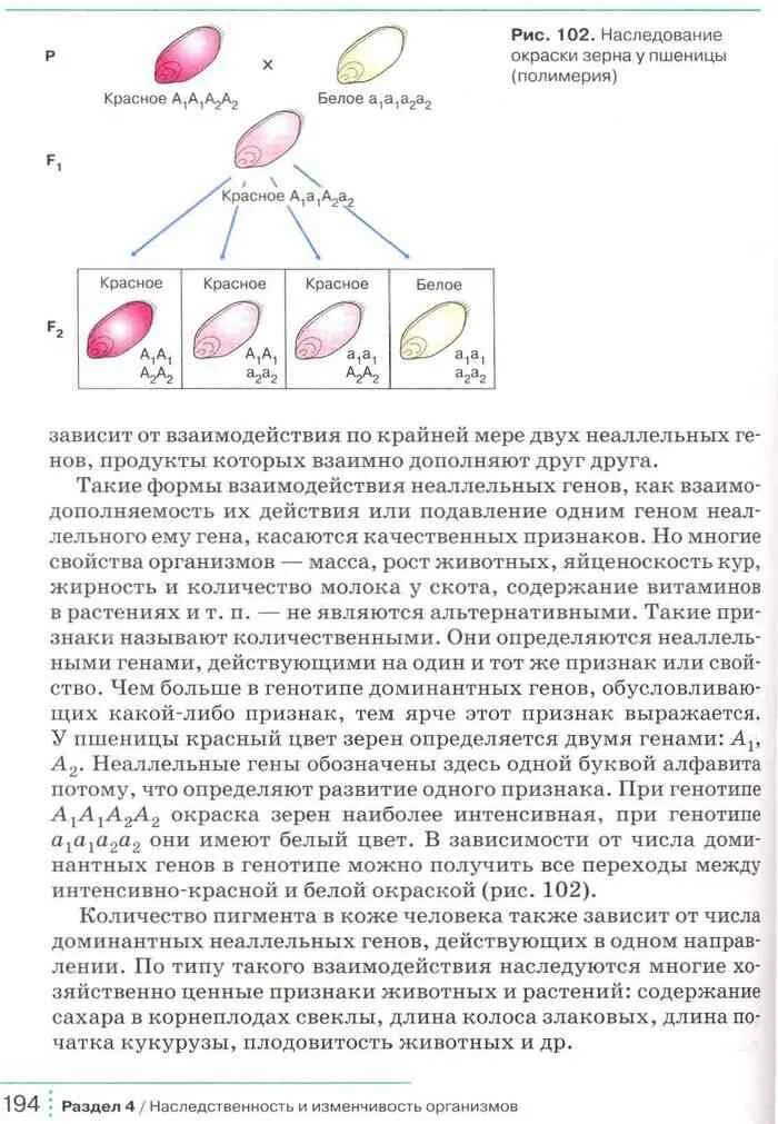 Биология 9 класс учебник мамонтов сонин. Биология 9 класс мамонтов захаров сонин. Мамонтов, захаров. Биология 9 класс учебник дрофа. Биология 9 класс учебник мамонтов сонин.