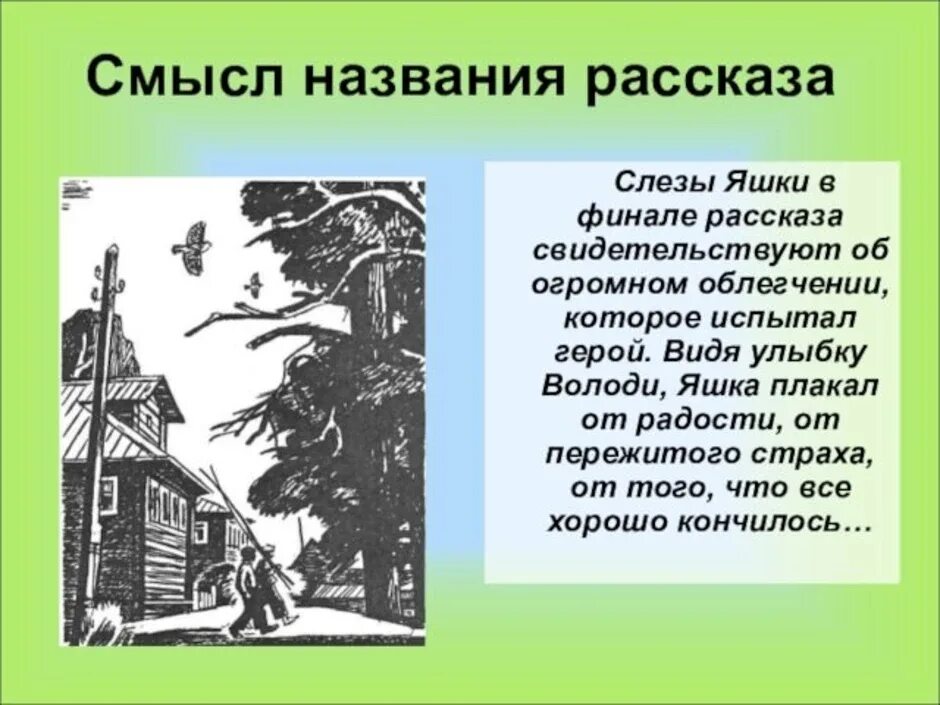 Какую историю об омуте рассказывает яшка володе. Тихое утро Казаков иллюстрации. Тихое утро. Рассказ тихое утро.