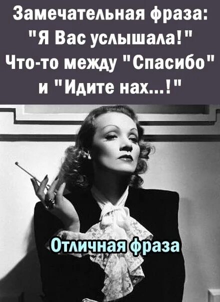 Замечательная фраза. Замечательная фраза я вас услышала что-то между спасибо и идите. Замечательная фраза я вас услышал. Я вас услышал интерпретации. Женщина птица изречение замечательных людей.