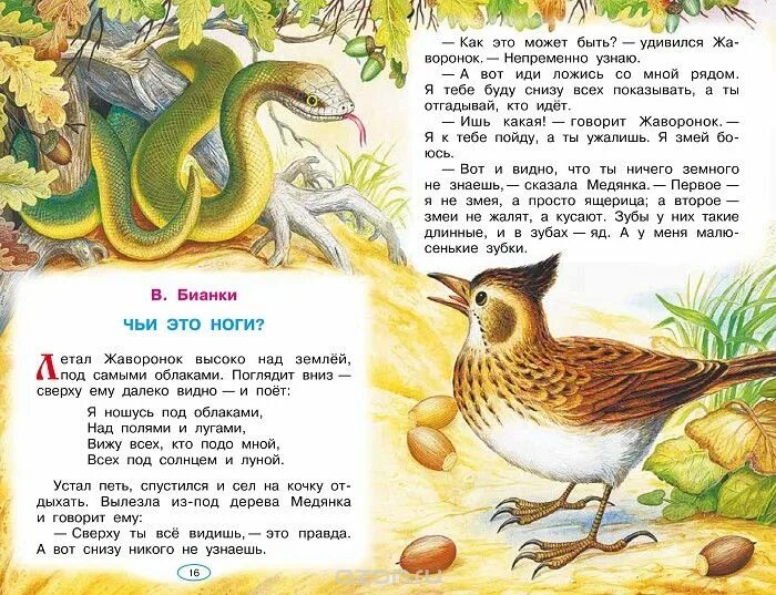 Внеклассное чтение рассказы о природе. Маленький рассказ о природе. Сказки о природе. Маленькие рассказы.