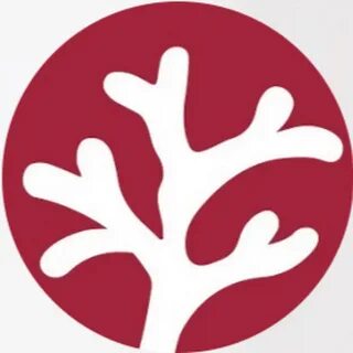 Флебоцентр пугачевская