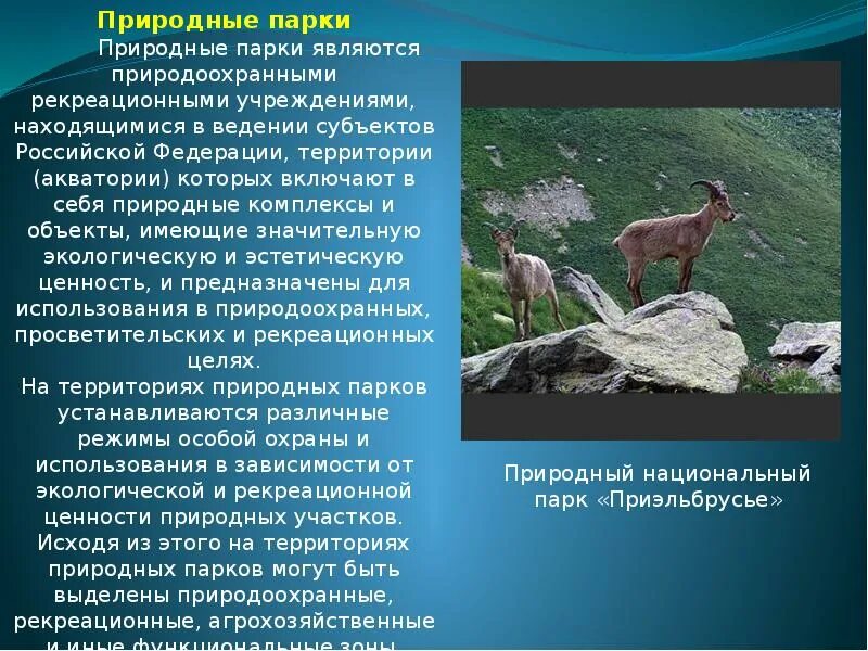 Особо охраняемые территории россии сообщение 8 класс. Особо охраняемые природные территории сообщение. Сообщение на тему охраняемых природных территорий. Сообщение о любом ООПТ России. ООПТ презентация.