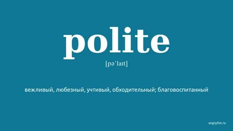 Polite перевод