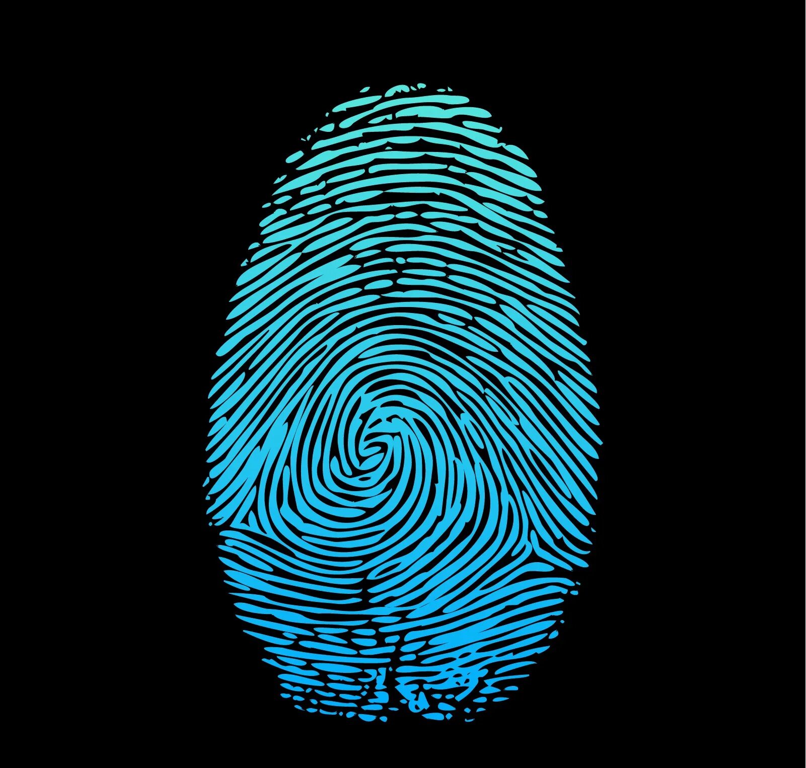 отпечатки пальцев вектор. отпечаток пальца черно белый. отпечаток пальца без фона. отпечаток большого пальца. обои отпечаток пальца.