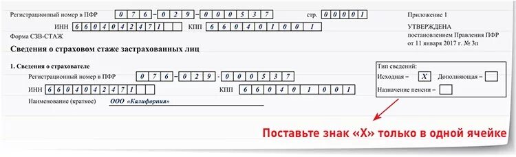 Получить номер пфр. Регистрационный номер в ПФР. Регистрационный код ПФР. Регистрационный номер в ПФ РФ. Регистрационный номер страхователя в ПФР.