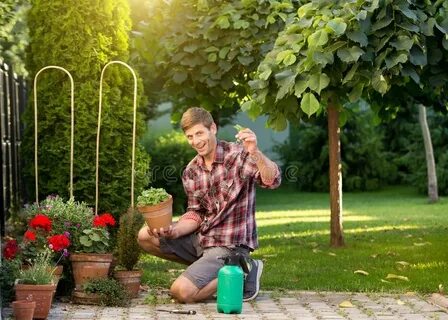 Take care of plants