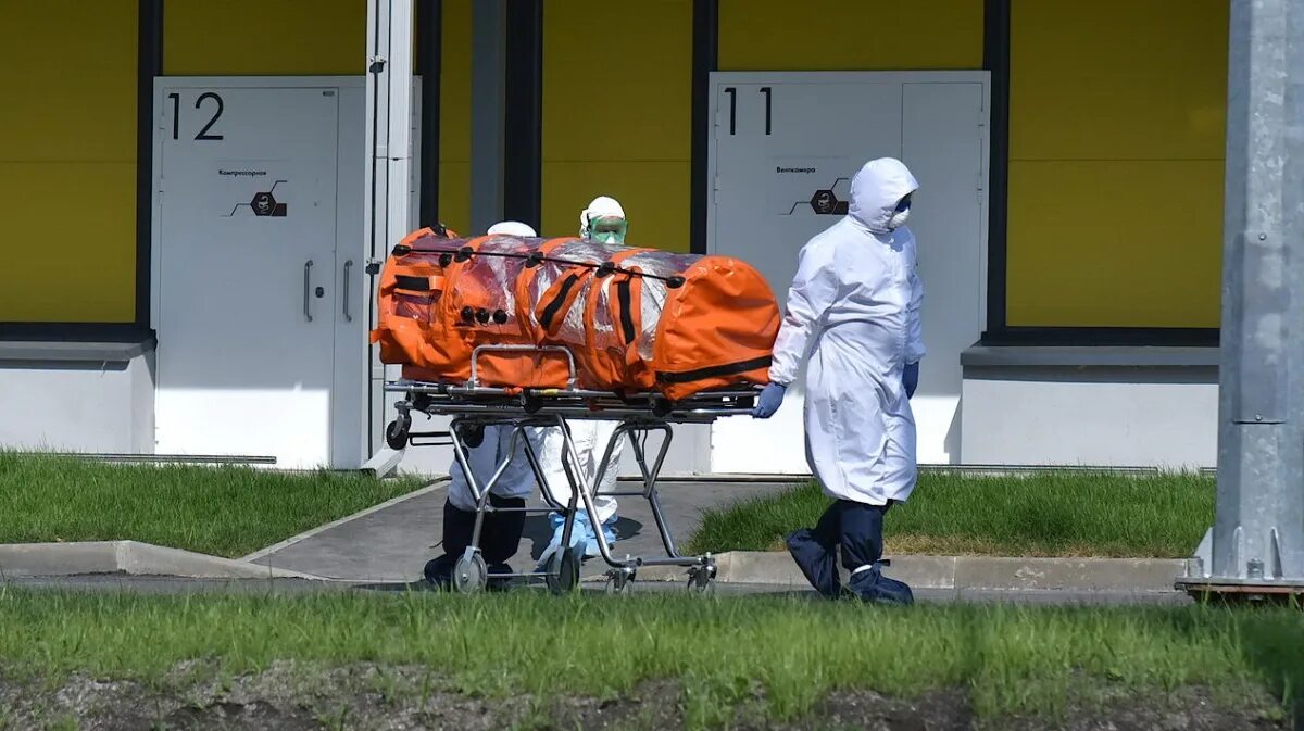 Коронавирус воронежской. Коронавирус в Воронежской области. Коронавирус в Воронеже на сегодня. Коронавирус уносит жизни.