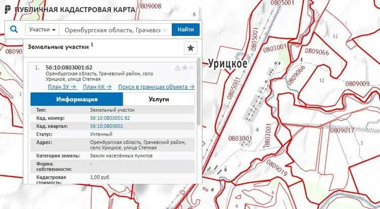 Кадастровая карта Владимира с категорией земель. Статусы цветов на кадастровой карте. Как определить границы населенного пункта на кадастровой карте. Аналоги публичной кадастровой карты в других странах.