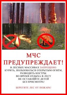 Листовки в лесу