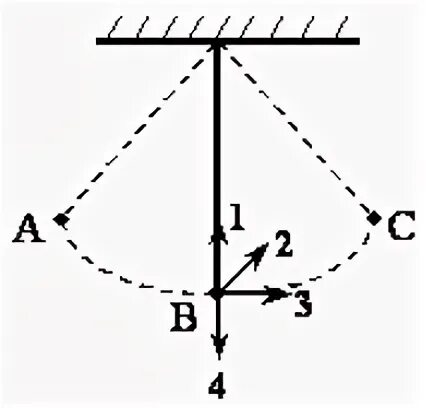Грузик подвешенный на нити. Груз на нити совершает свободные колебания между точками. Колебания грузика на нити. Математический маятник.