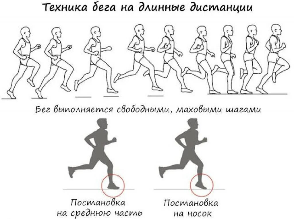 Сколько км бегать каждый день. Техника бега для начинающих. Техника бега на длинные дистанции. Правильная техника бега для начинающих. Программа бега для начинающих.