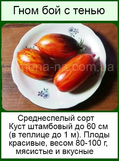 Томат сорт бой с тенью. Томат бой с тенью характеристика и описание. Томат гном бой с тенью. Сорт томата гном бой с тенью. Томат гном бой с тенью.