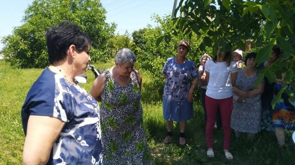 Село приветное кировский район крым. Приветное алушта школа. Погода в приветном сакский район. Приветное (алушта). Республика крым, г.