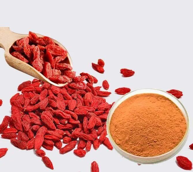 Fruit extract в косметике. Goji berry extract что это. годжи порошок. годжи имбирь корица. дрожжи годжи.