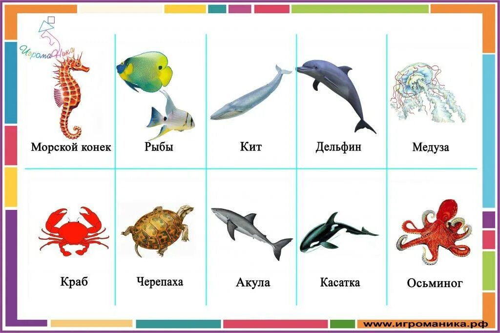 Морские названия для детей