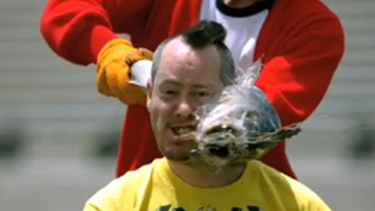 Mega piranha trailer 2010. Бить рыбой. Бить рыбой. Бить рыбой. Рыбалка гиф смешные.