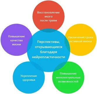 Когнитивный тренинг
