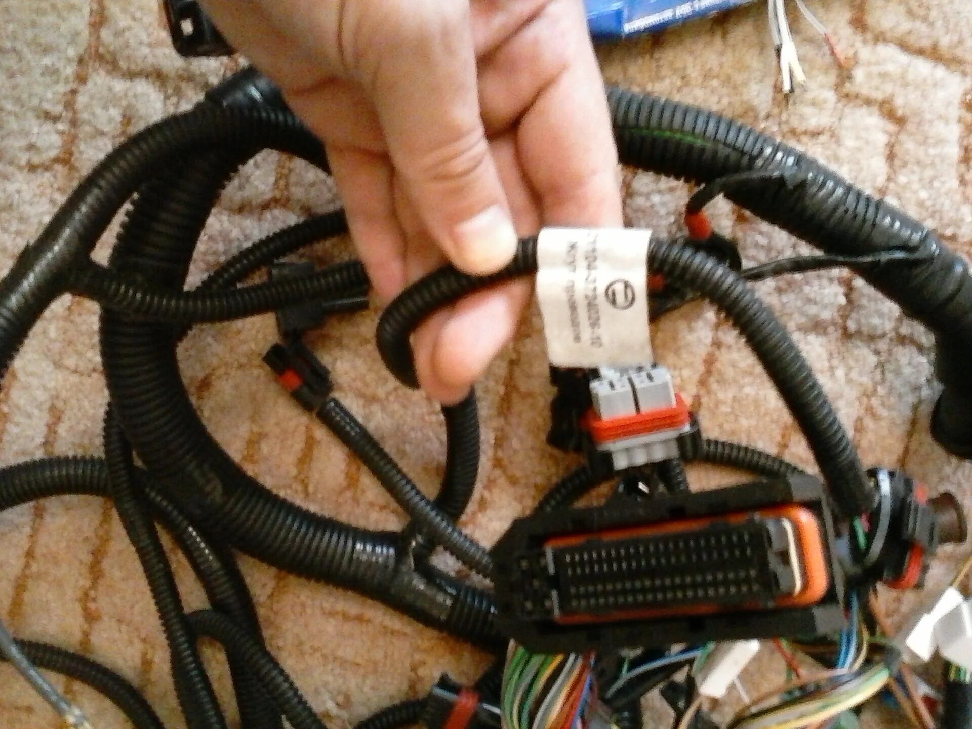 Мозг абстракция. Головной мозг нервная система. Мозг проводка. Мозг проводка. Мозг перегружен.