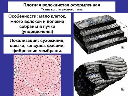 Плотный вид ткани 6