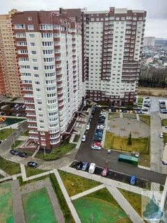 Щербинка южная 10
