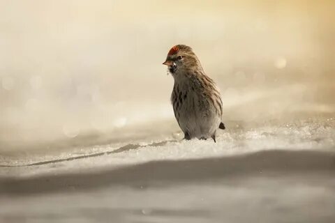 На пороге весны