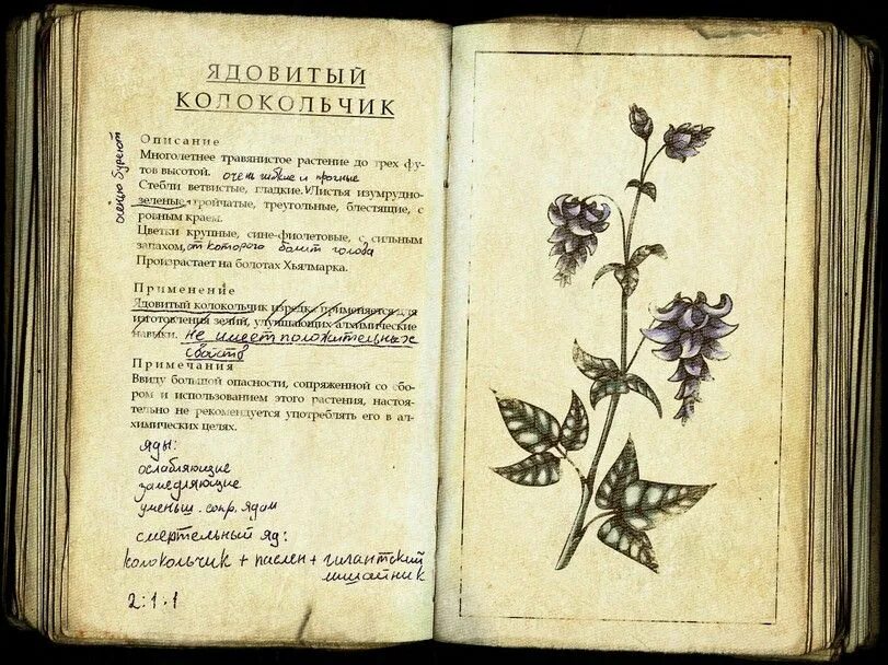 Описание разных
