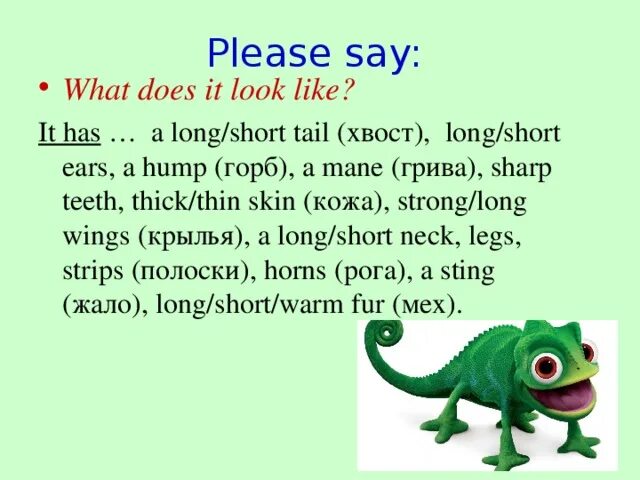 It has a long tail. It is a long tail понятие. what does it look like перевод. short tail перевод. long tail перевод на русский язык.