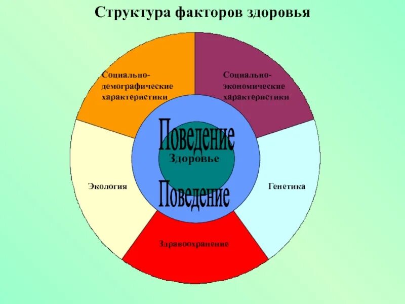 Влияние социально экономических факторов на здоровье человека. Факторы формирующие здоровье человека. Здоровье и факторы его формирования. Структура факторов здоровья. Факторы формирующие здоровье населения.