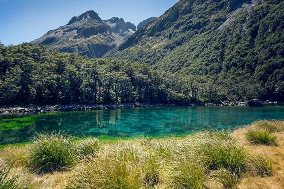 Discover nature. Нельсон-Лейкс голубое озеро. Голубое озеро новая Зеландия. Голубое озеро Нельсон в новой Зеландии. Парк Нельсон Лейкс новая Зеландия.