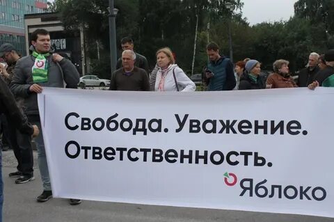 Мобилизация поддержки избирателей