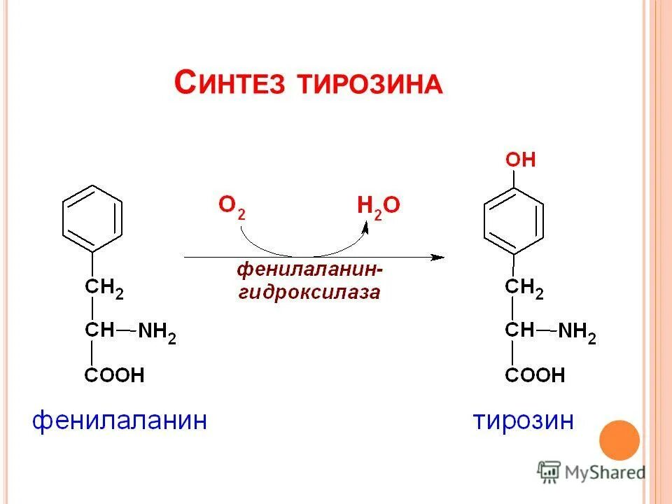 Синтез ростов. Синтез ростов